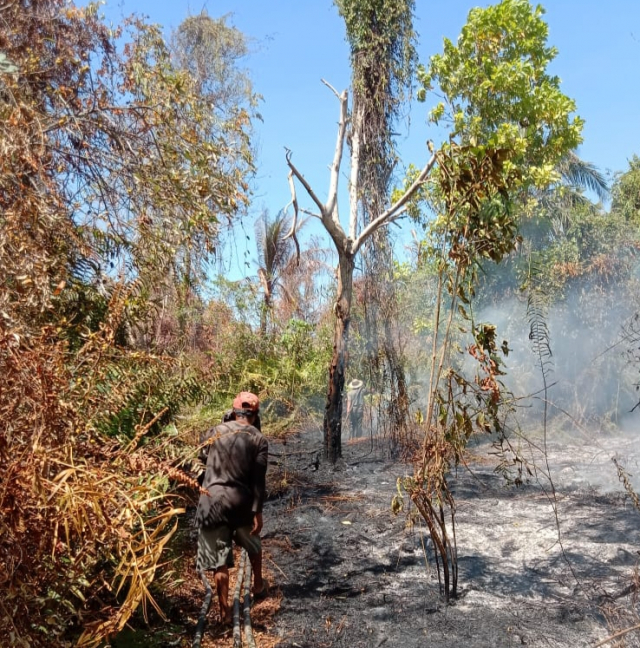 Pelaku Pembakaran Hutan dan Lahan akan Ditindak Tegas