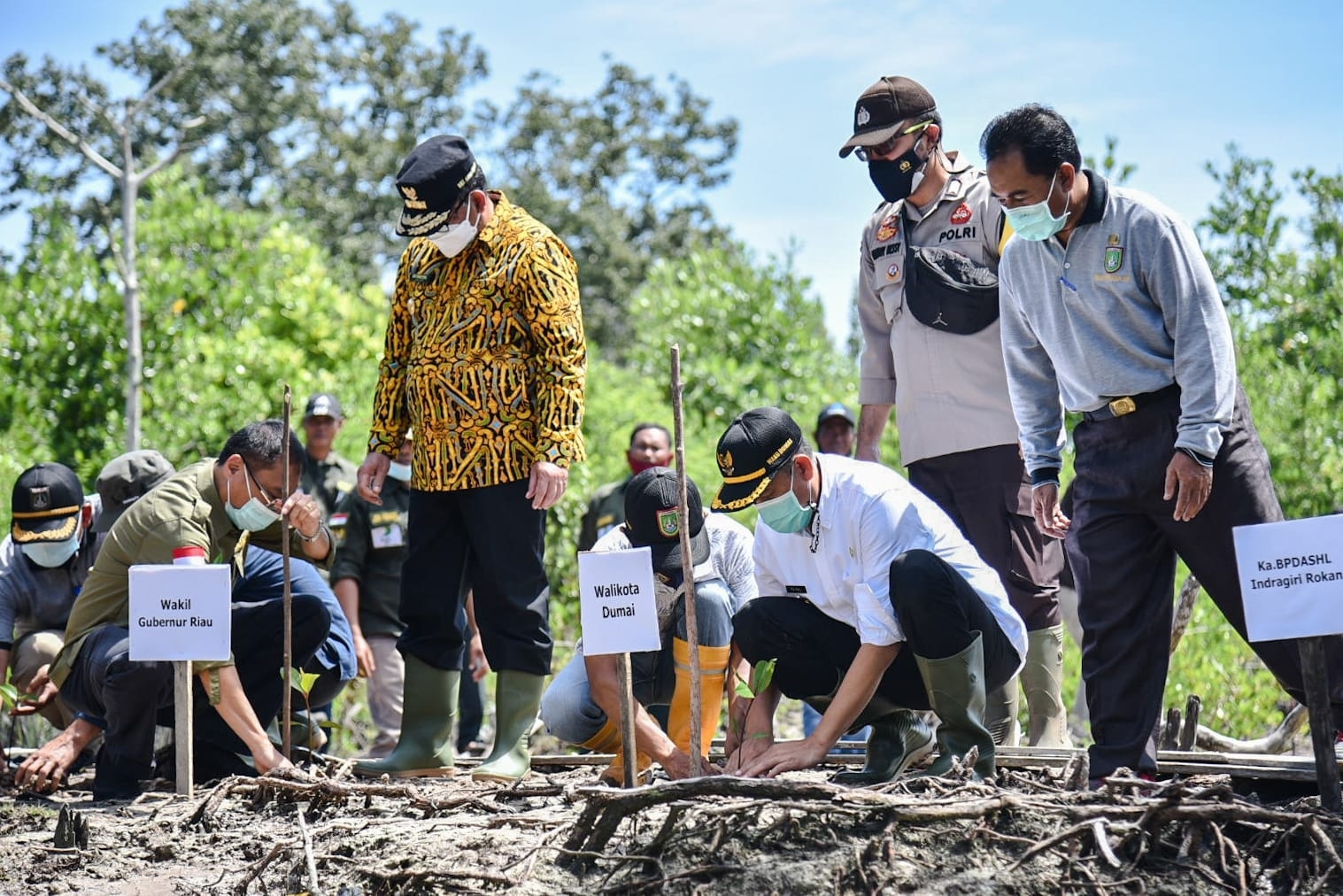 Cegah Abrasi Kawasan Pantai, Dinas Lingkungan Hidup Kota Dumai Ajak Seluruh Lapisan Masyarakat Untuk Melakukan Penanaman Mangrove