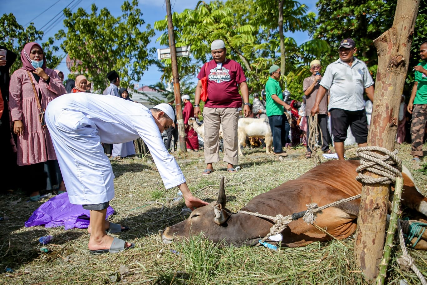 Saksikan Penyembelihan Hewan Kurban, Wali Kota Apresiasi Pelaksanaan Kurban Tahun 2022 di Kota Dumai