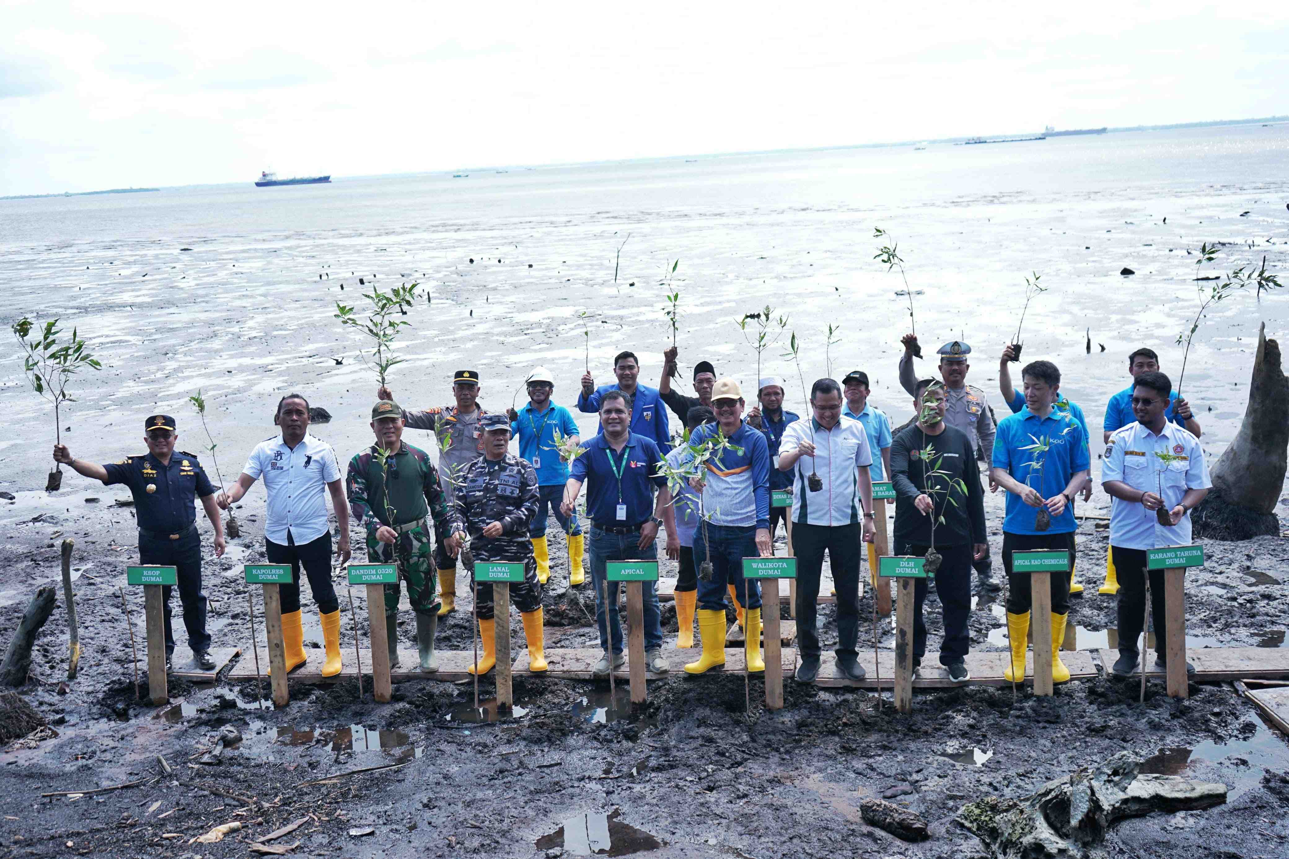 Peringati Hari Mangrove Sedunia, Pemko Dumai dan Apical Tanam 2000 Bakau di Pesisir Pantai Taisan Purnama