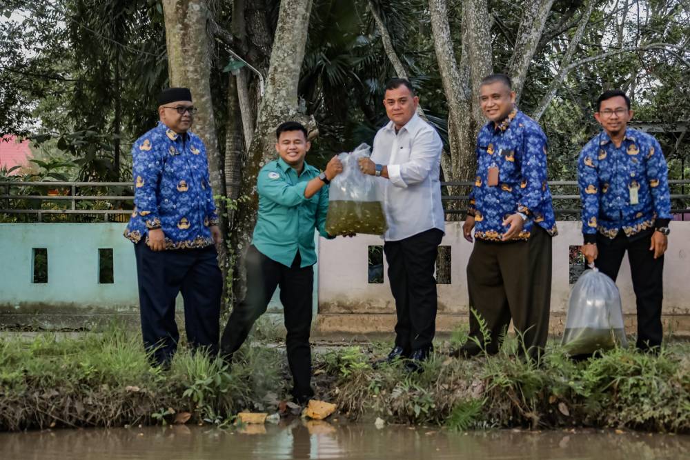 Pjs Walikota Dumai Tabur 8000 Benih Ikan untuk Restocking dan Ketahanan Pangan 