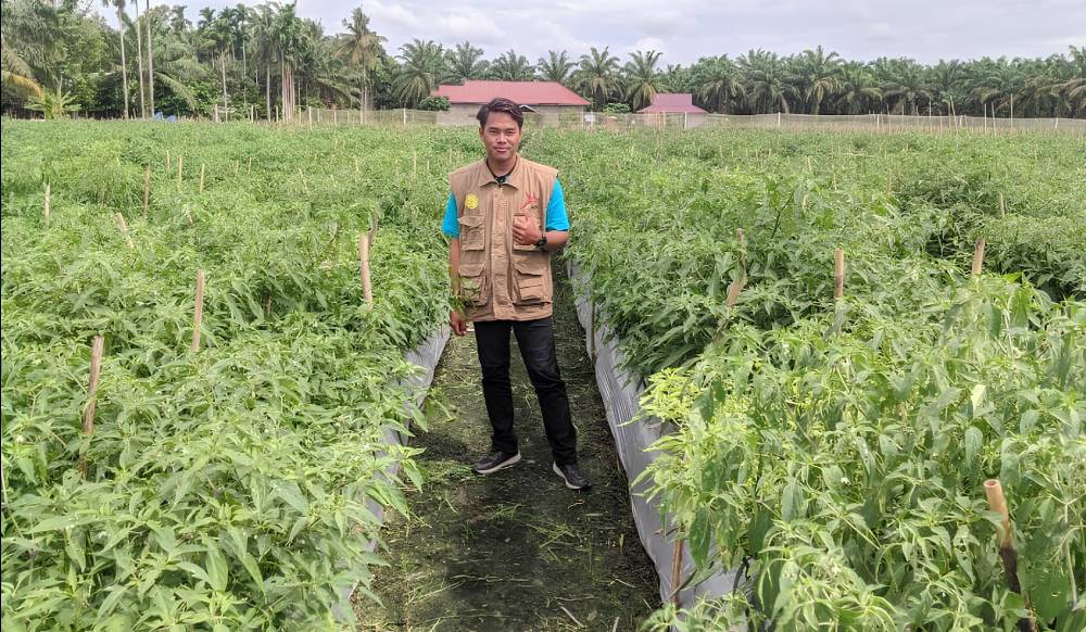 Kenalin Nih Mas Wiyono, Duta Petani Milenial Angkatan I Asal Kota Dumai, Omzet Pertahun Gak Main-Main