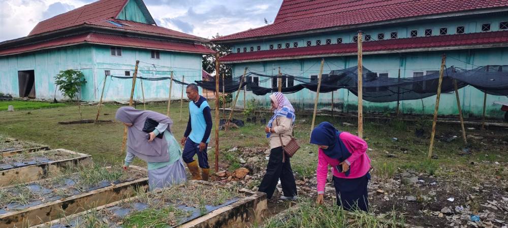 Optimalisasi Pemanfaatan Inovasi 'Digiloka' di Kalangan Petani, Diskopukmperin Dumai Sambangi Kawasan Pertanian Terpadu Pelintung