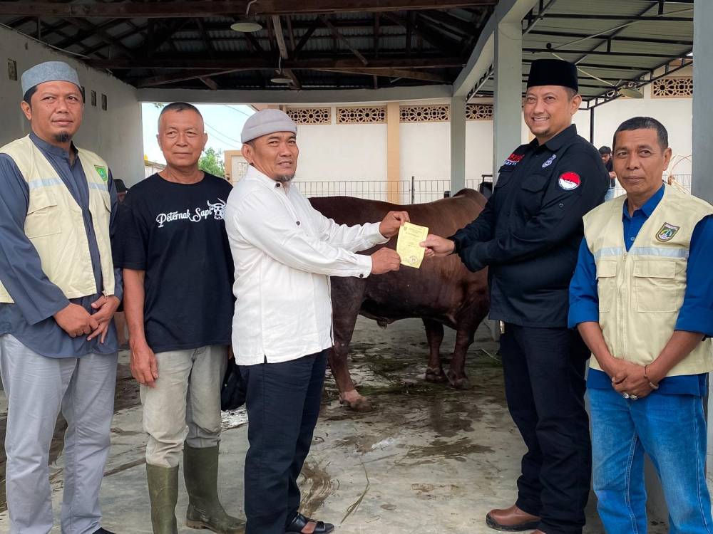 Sapi Kurban Seberat 750 Kg Bantuan Presiden Prabowo Diserahkan Wawako Sugiyarto untuk Masyarakat Dumai