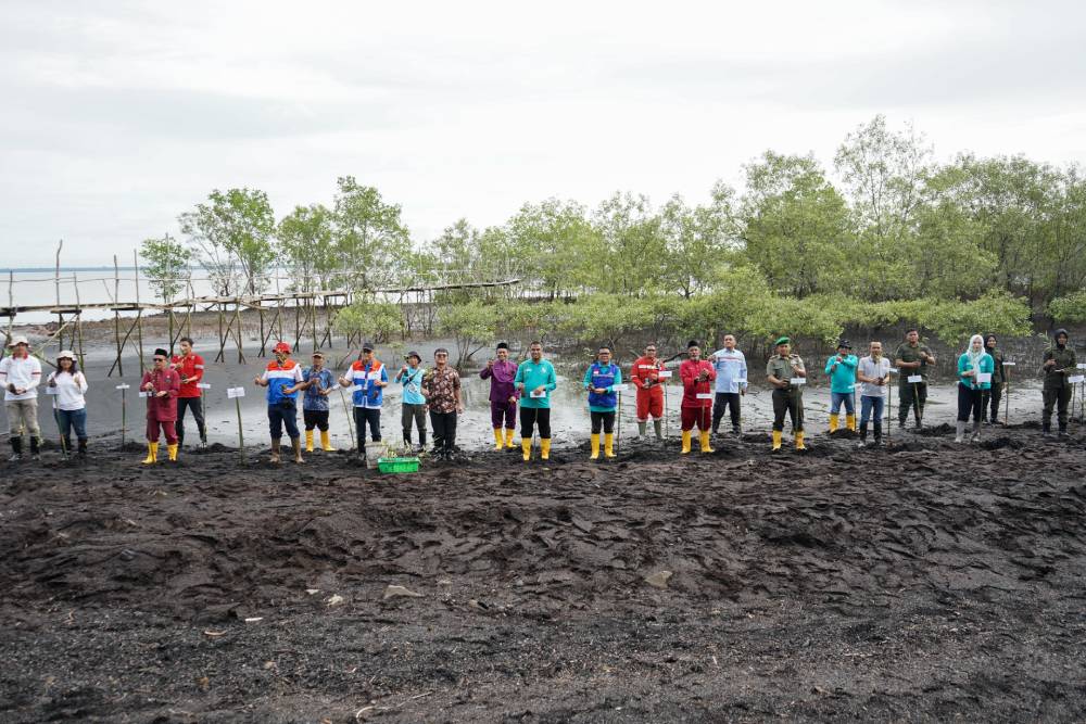 Peringati Hari Mangrove Sedunia, Pemko Dumai Tanam 2000 Pohon Mangrove Di Wilayah Pesisir Kota Dumai