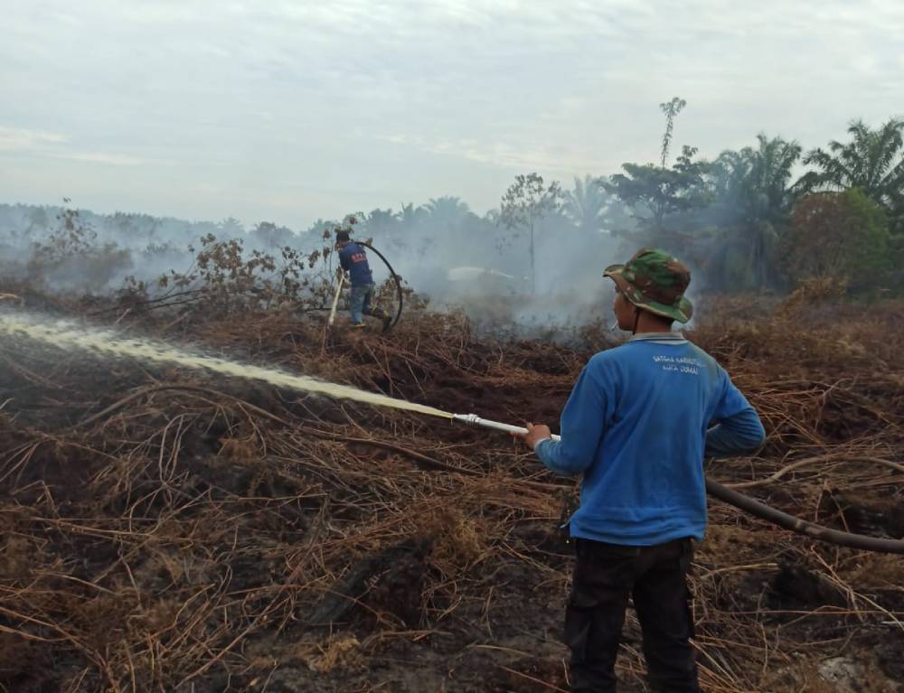 BPBD Dumai dan Tim Gabungan Berhasil Padamkan Karhutla di Lubuk Gaung