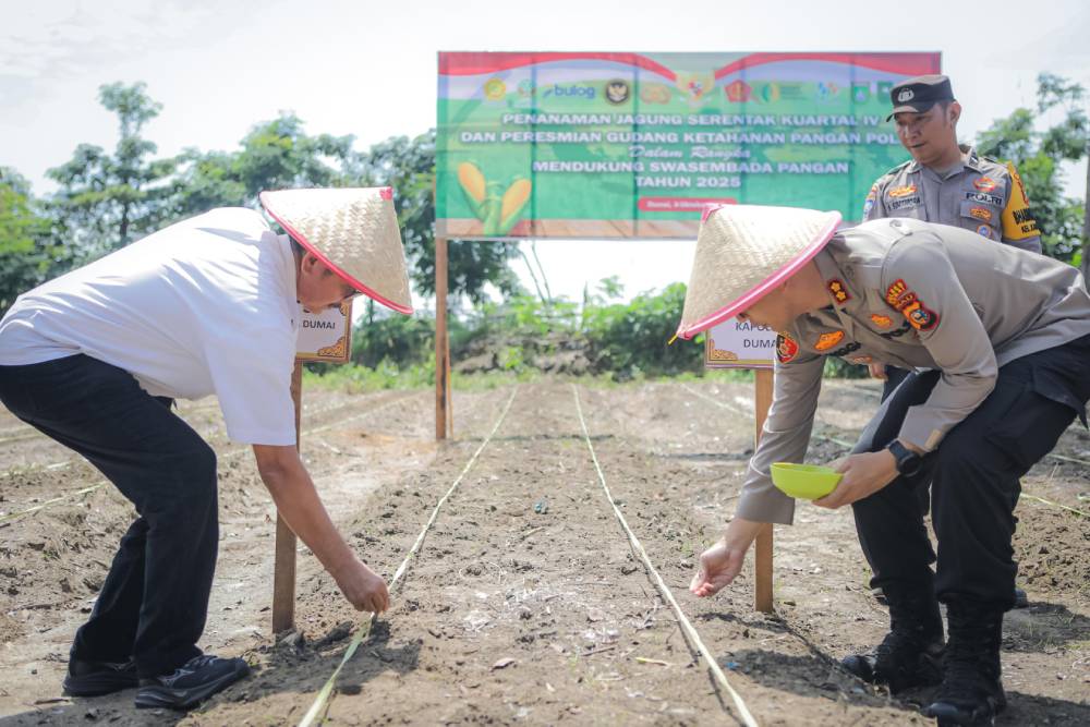 Polres dan Pemko Dumai Kolaborasi Tanam Jagung Serentak Kuartal IV, Siap Dukung Ketahanan Pangan Nasional