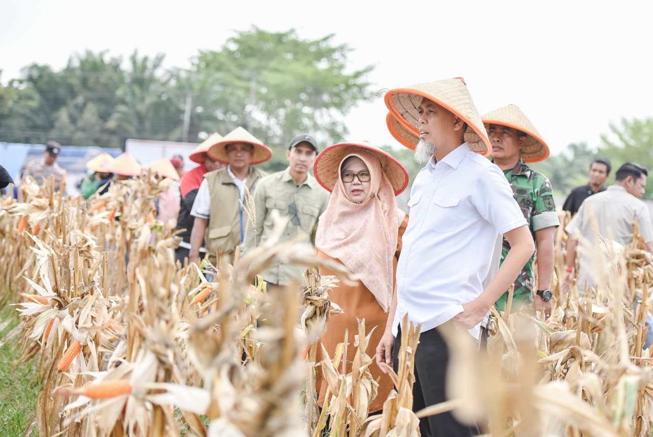 Dukung Swasembada Nasional, Wako H. Paisal dan Kapolres Dumai Tanam Jagung Serentak di Awal 2026