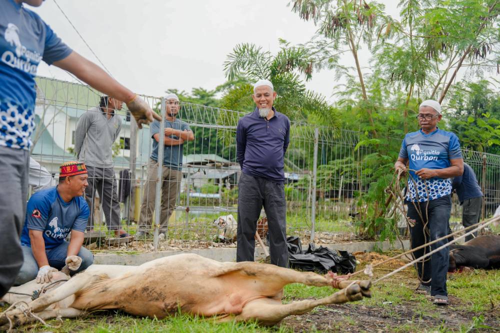BKMT Kota Dumai Sembelih 7 Sapi dan 1 Kambing, Wako H. Paisal: Perkuat Ukhuwah Lewat Momentum Qurban di DIC