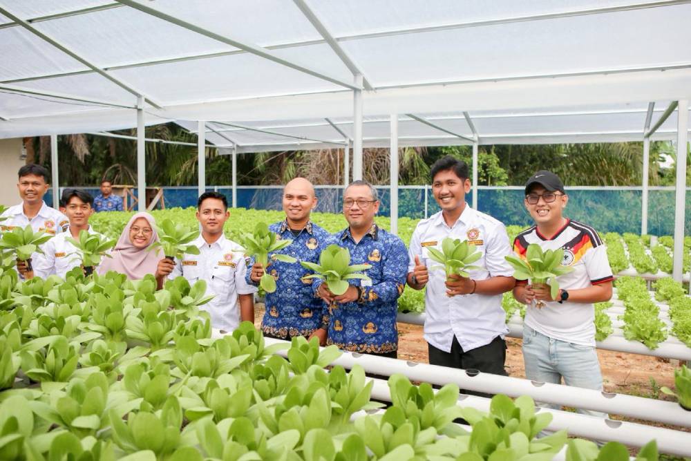 Sekdako Fahmi Ikuti Panen Sayuran Hidroponik Binaan Karang Taruna Kota Dumai 